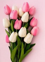 تقدیر از دانشجویان فعال در عرصه طراحی